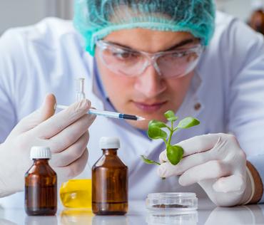 CRDMO – Research & Manufacturing