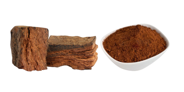 Acacia heart wood extract - Herbal Extraction Plants