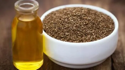 Ajwain Distillation - Spices Oil Distillation Plants