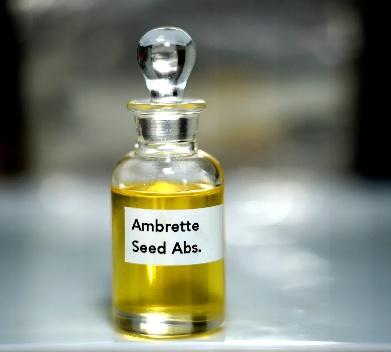 Ambrette Seed Distillation - Seeds & Berries Distillation Plants