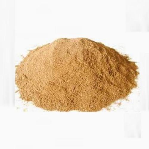Asparagus Plant Extract - Herbal Extraction Plants