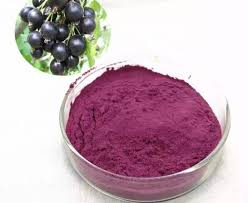 Black Currant Extract - Floral Concrete & Absolute Extraction Plants