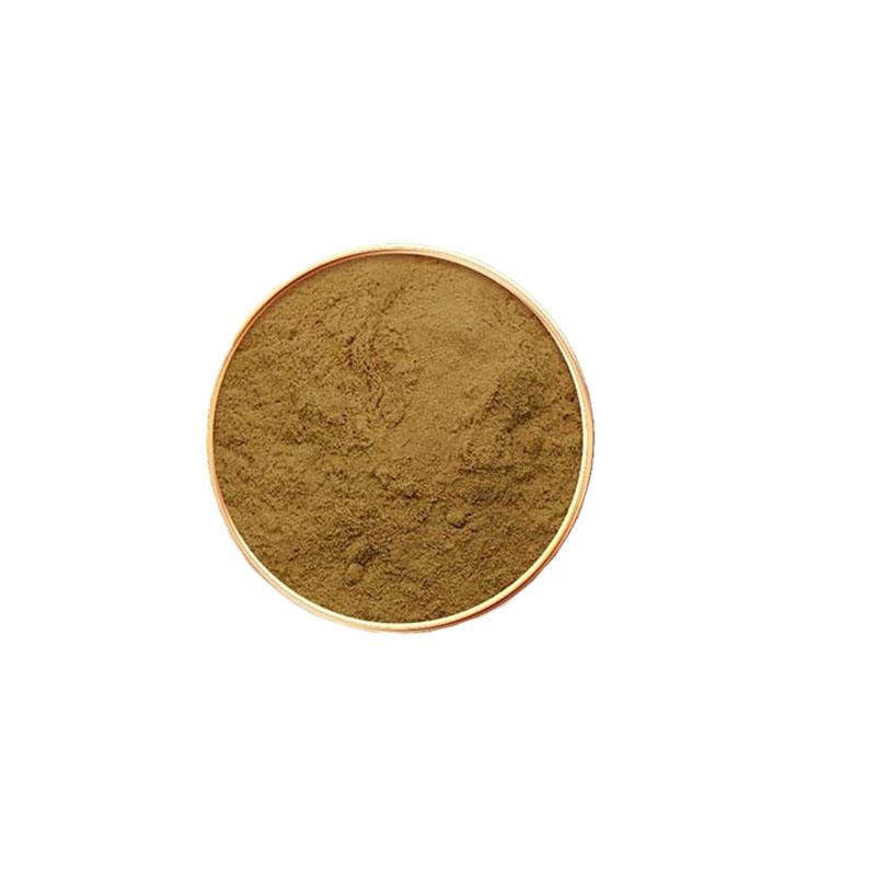 Brahmi Plant Extract - Herbal Extraction Plants