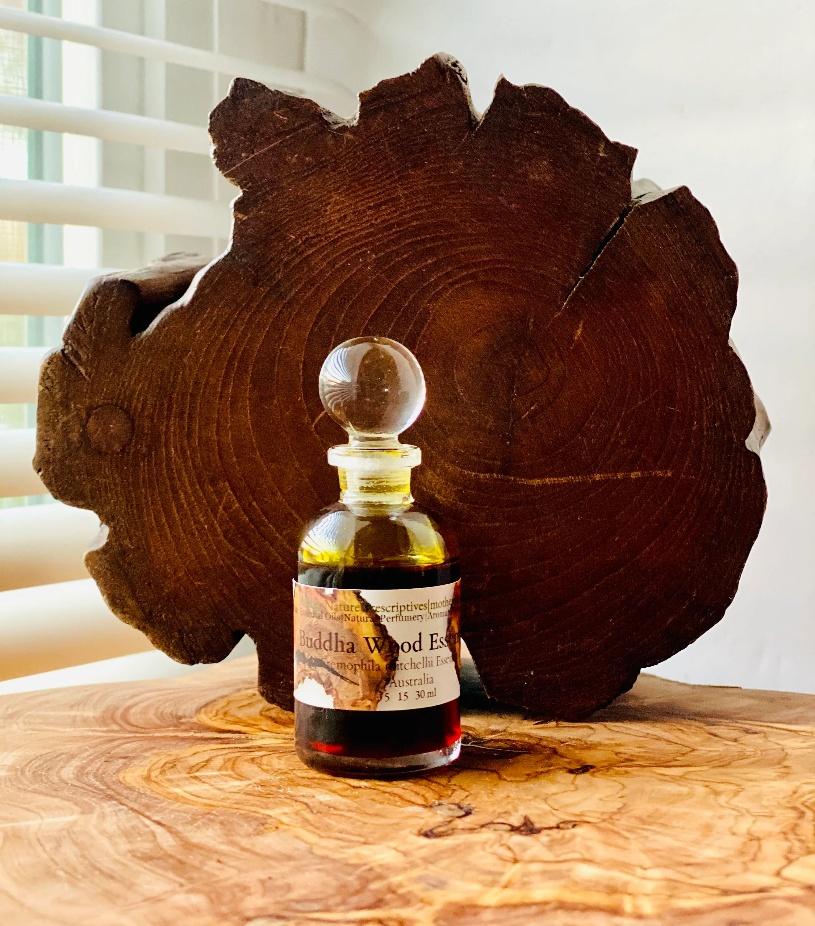 Buddha Wood Extract - Wood Absolute Extraction Plants