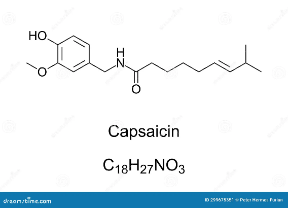Capsicum Extract - Spices Oleoresin Extraction Plants