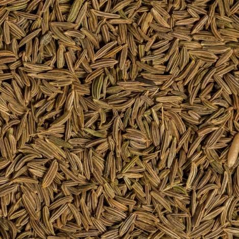 Caraway Seed Distillation - Seeds & Berries Distillation Plants