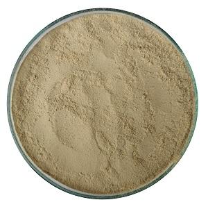 Cassia Extract - Herbal Extraction Plants