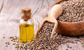 Celery Seeds Distillation - Seeds & Berries Distillation Plants