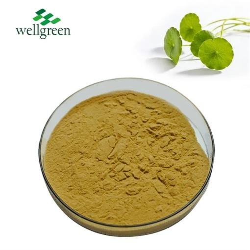 Centella Asiatica Extract - Herbal Extraction Plants