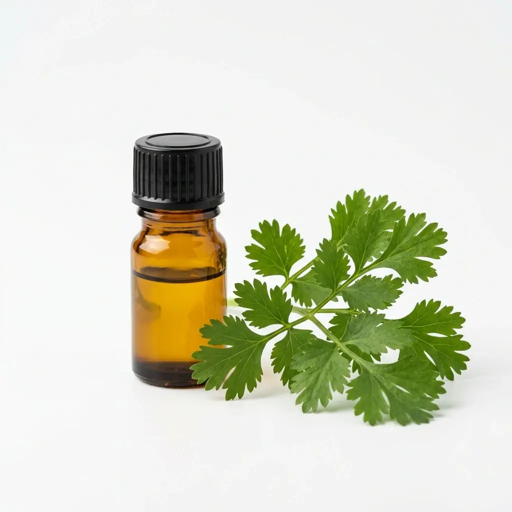 Cilantro Leaves Oil - Leaf Oils
