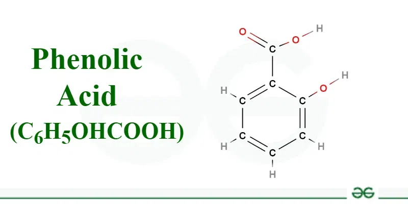 Cinnamon Bark Extract - Herbal Extraction Plants