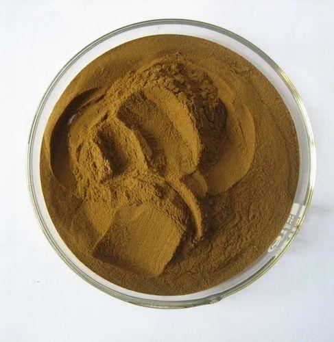 Coleus Forskolin Plant Extract - Herbal Extraction Plants