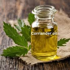 Coriander Distillation - Spices Oil Distillation Plants
