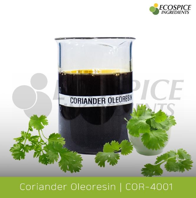 Coriander Extract - Spices Oleoresin Extraction Plants