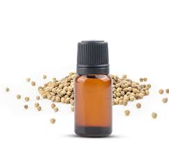 Cubeb / Java Pepper Distillation - Seeds & Berries Distillation Plants