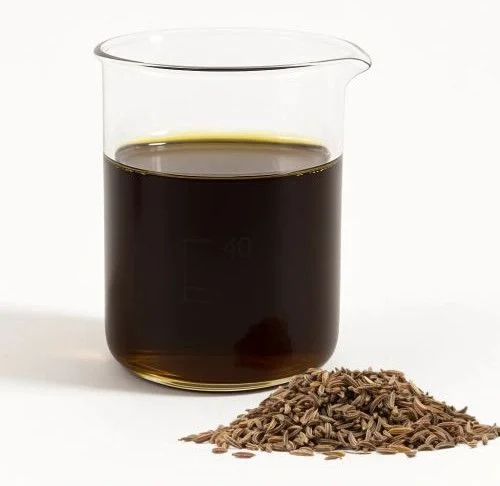 Cumin Extract - Spices Oleoresin Extraction Plants