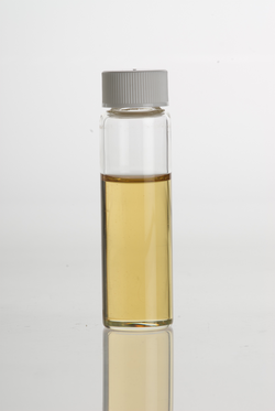 Dalmatian Sage Leaves Distillation - Leaves Oil Distillation Plants