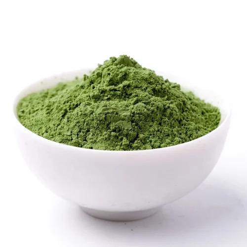 Eclipta Alba Extract - Herbal Extraction Plants