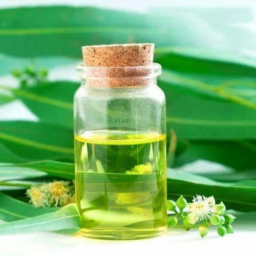 Eucalyptus Globolus Leaves Distillation - Leaves Oil Distillation Plants