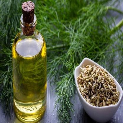 Fennel Extract - Spices Oleoresin Extraction Plants