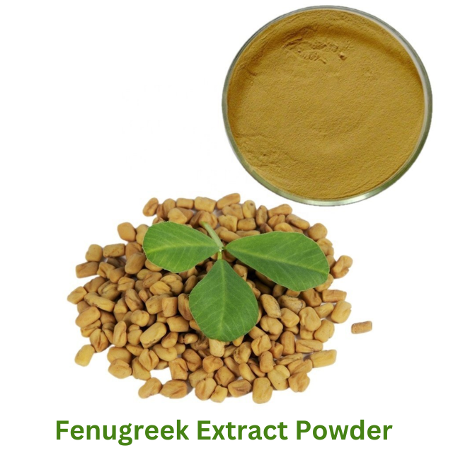Fenugreek Seed Extract - Herbal Extraction Plants