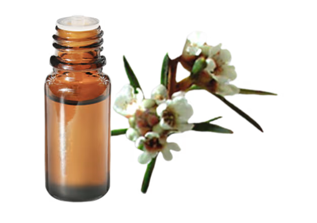 Fragonia Distillation - Needles & Twigs Distillation Plants