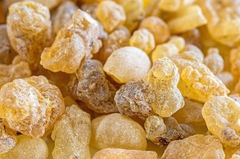 Frankincense / Olibanum Extract - Gum & Resin Extraction Plants