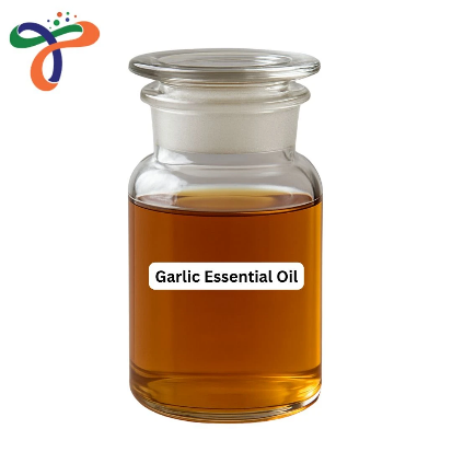 Garlic Distillation - Spices Oil Distillation Plants