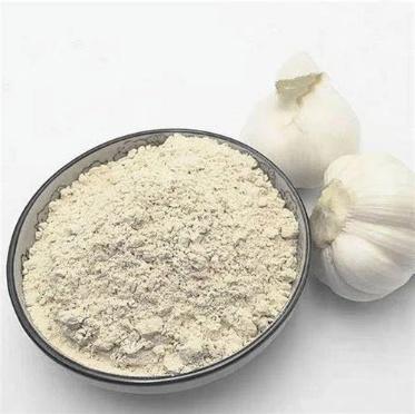 Garlic Extract - Herbal Extraction Plants