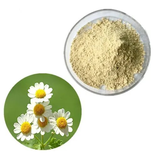 German Chamomile Extract - Floral Concrete & Absolute Extraction Plants