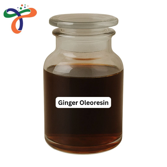 Ginger Extract - Spices Oleoresin Extraction Plants