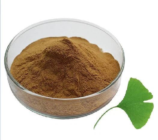 Ginkgo Biloba Extract - Herbal Extraction Plants