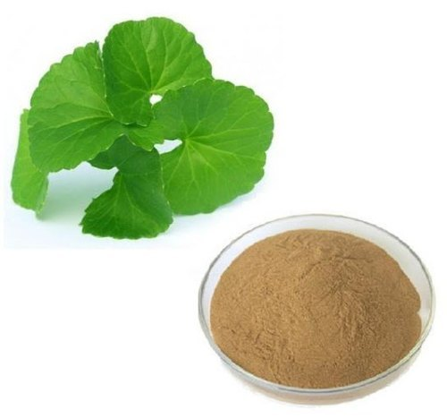 Gotukola Extract - Herbal Extraction Plants