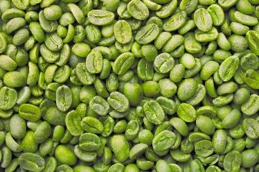 Green Coffee Extract - Herbal Extraction Plants