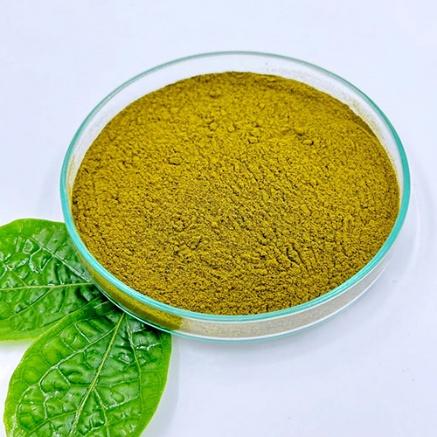 Gymnema Extract - Herbal Extraction Plants
