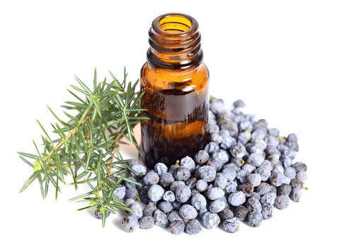 Juniper Distillation - Seeds & Berries Distillation Plants