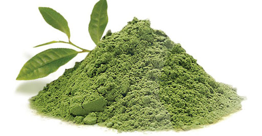 Kalmegh Extract - Herbal Extraction Plants