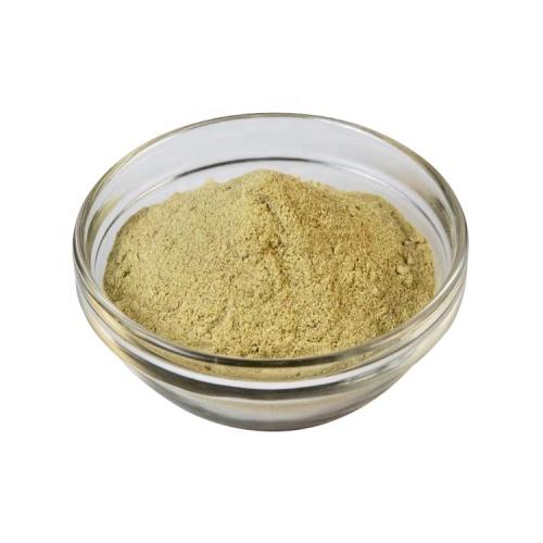 Kalmegh Leaves Extract - Herbal Extraction Plants