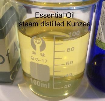 Kunzea Leaves Distillation - Leaves Oil Distillation Plants