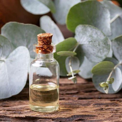 Lemon Eucalyptus Leaves Distillation - Leaves Oil Distillation Plants