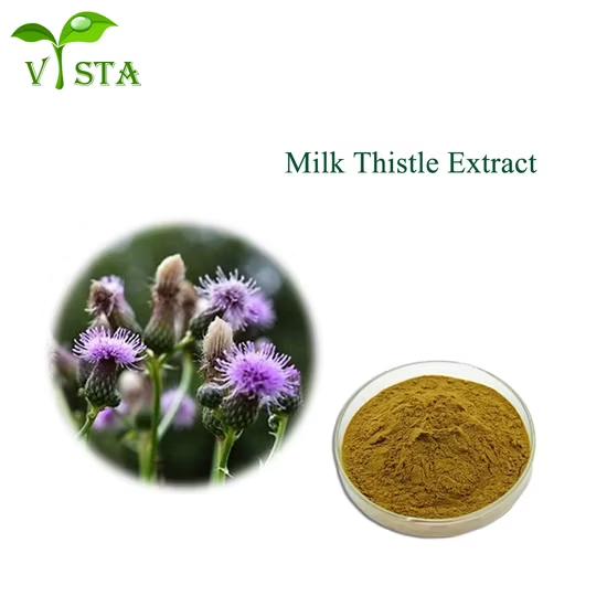 Milk thistel seed Extract - Herbal Extraction Plants