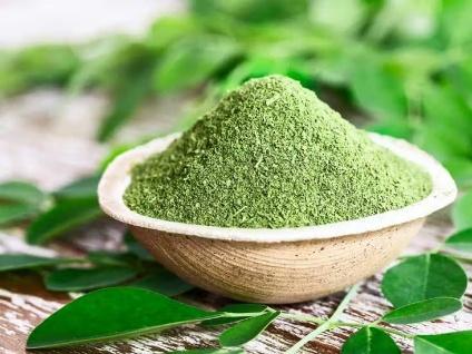 Moringa Leaf Extract - Herbal Extraction Plants