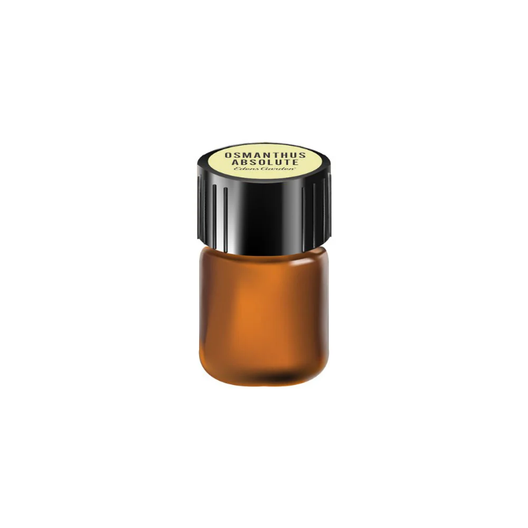 Osmanthus Extract - Floral Concrete & Absolute Extraction Plants