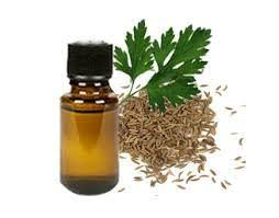 Parsley Distillation - Seeds & Berries Distillation Plants