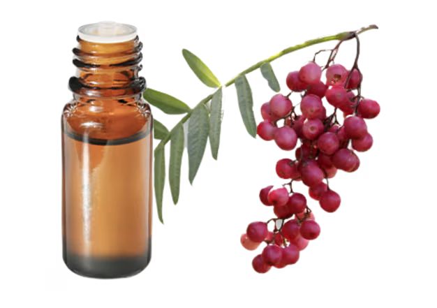Pink Pepper Extract - Spices Oleoresin Extraction Plants