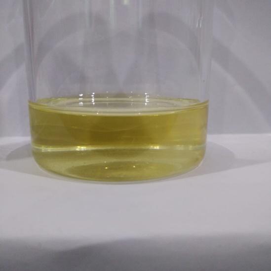 Ravensara Leaves Distillation - Leaves Oil Distillation Plants