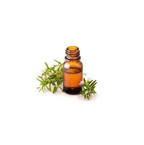 Rosemary Leaves Distillation - Leaves Oil Distillation Plants