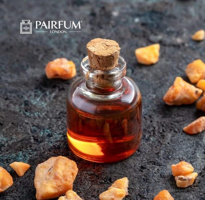 Styrax Benzoin Absolute Extract - Gum & Resin Extraction Plants