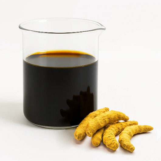 Turmeric Extract - Spices Oleoresin Extraction Plants