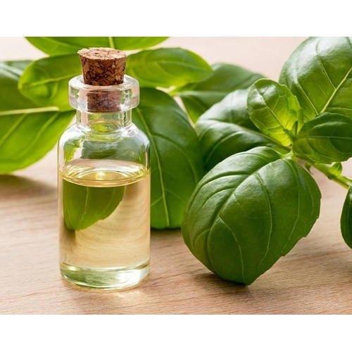 Turmeric Leaves Distillation - Leaves Oil Distillation Plants